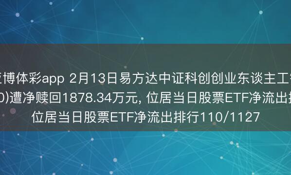 亚博体彩app 2月13日易方达中证科创创业东谈主工智能ETF(159140)遭净赎回1878.34万元， 位居当日股票ETF净流出排行110/1127